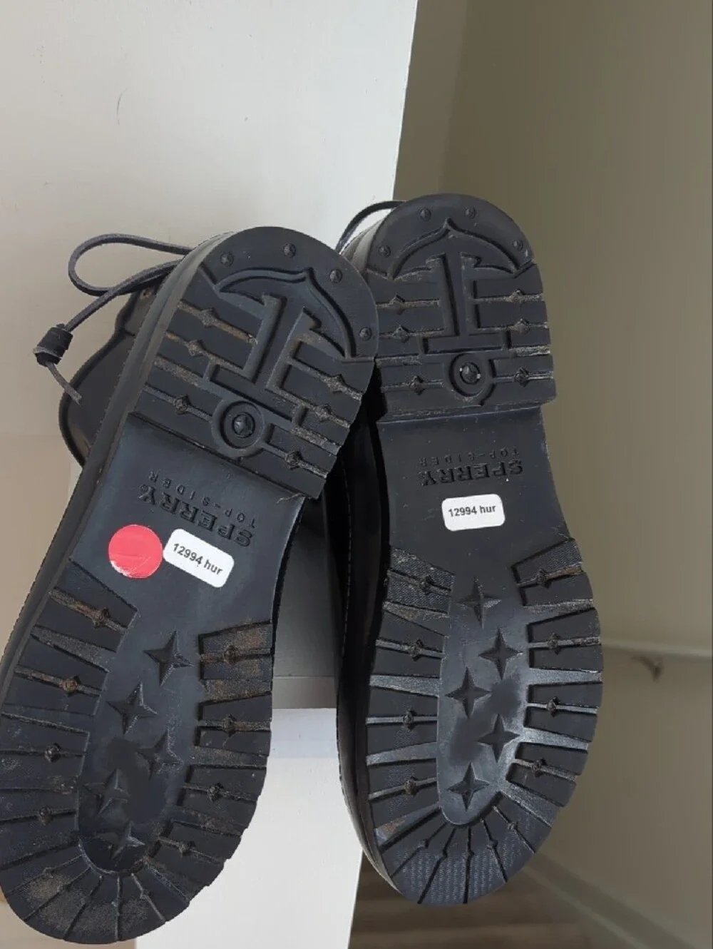 Sperry sturdy short